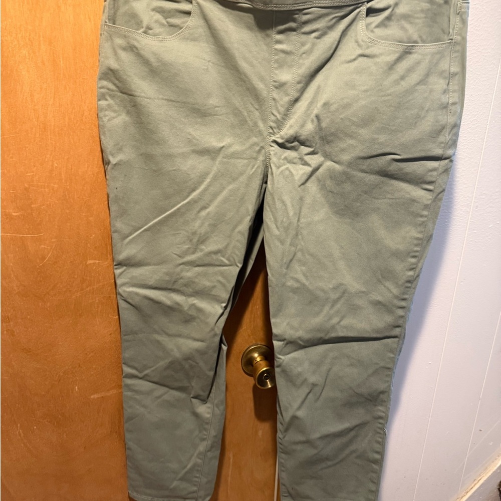 Gloria Vanderbilt Green Chinos Flat Front Cotton Blend BNWT